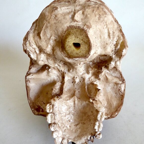 NEW ARTISAN HANDCRAFTED REALISTIC HUMAN SKULL HALLOWEEN PROP ODDITY - Picture 8 of 11